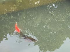 -成都市活水公园