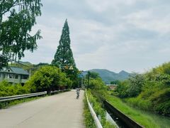 -四明湖