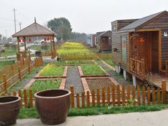 阳春三月的龙湖东院特色民宿农庄-龙湖东院农庄(乡间小路店)