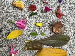 -南国桃园旅游度假区