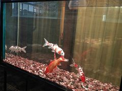 -酒城大贰火锅旗舰店