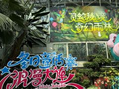 -大连森林动物园