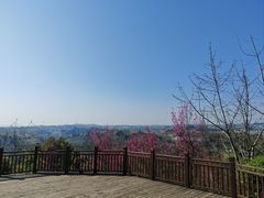 -五凤溪古镇