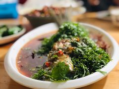 -老字号怡玺·藿香雅鱼(20年雅安店)