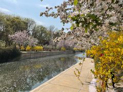 -元大都城垣遗址公园