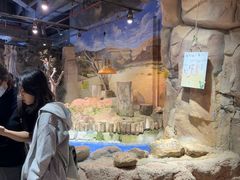 -正佳雨林生态植物园