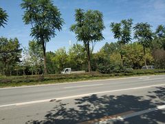 -三圣花乡旅游区