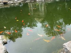 -青岛鑫江温德姆酒店