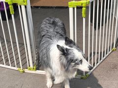 -miss密斯韩餐(平阳景苑店)