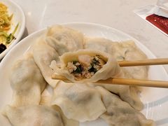 肉三鲜水饺-枫林饺子