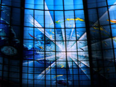 -捷运美丽岛站(The Dome of Light)