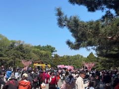 -北陵公园