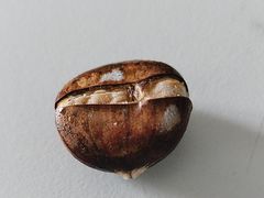 -优可栗栗·零食炒货(上品店)