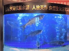 -潇湘码头·鲜湘菜(清河店)