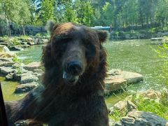 -北京野生动物园
