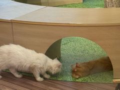 -中航城君尚购物中心