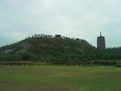 -永定河休闲森林公园