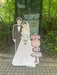 -In March三月艺术婚礼