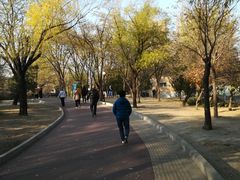 -方庄体育公园