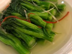 -宝园酒家(美林M·LIVE天地东座店)