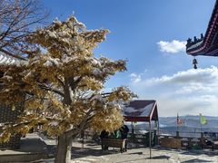 -九鼎铁刹山风景区