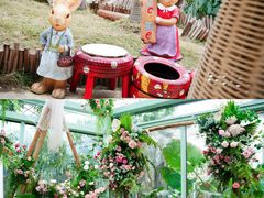 -正佳雨林生态植物园