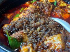 -陈麻婆豆腐总店
