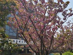 -上海财经大学(国定路校区)