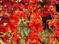 -春晖园度假酒店温泉