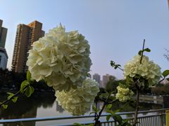 -沐仙湖湿地公园
