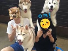 -TrueLove @ Neverland (Husky Cafe)