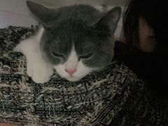 -宠颐生汉谟拉比宠物医院
