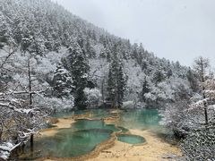 -黄龙山原始森林景区