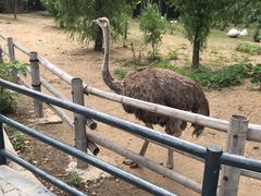 -大连森林动物园