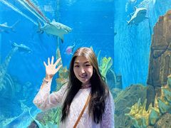 -哈尔滨波塞冬海底世界
