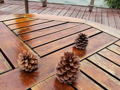 -梅地亚君澜度假酒店俱乐部