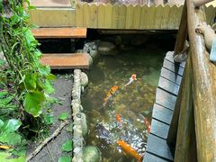 -上海大自然野生昆虫馆(东方明珠·爬宠昆虫探索中心)