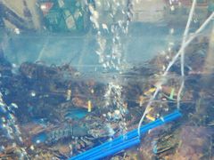 -鲜味食族水产·海鲜餐厅