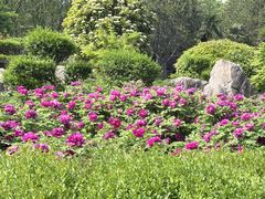 -洛阳市隋唐城遗址植物园