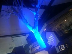 -鉴川·川菜传承(星汇两江店)