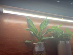 -本色.小马哥烧烤(五一路总店)