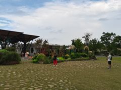 -上海长兴岛郊野公园