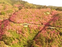 -木兰云雾山