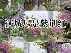 -柳侯公园