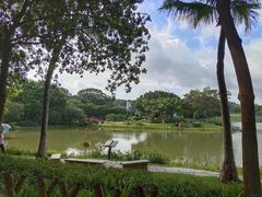 -东莞植物园
