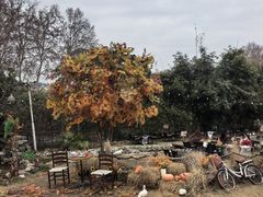 -HERRE·FARM 赫尔露营农场·团建聚会包场