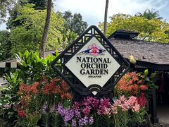 -新加坡植物园