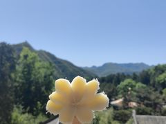 -潭柘寺景区