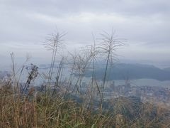 -梧桐山风景名胜区