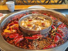 -一斗火锅·招财羊毛肚(北温泉九号店)